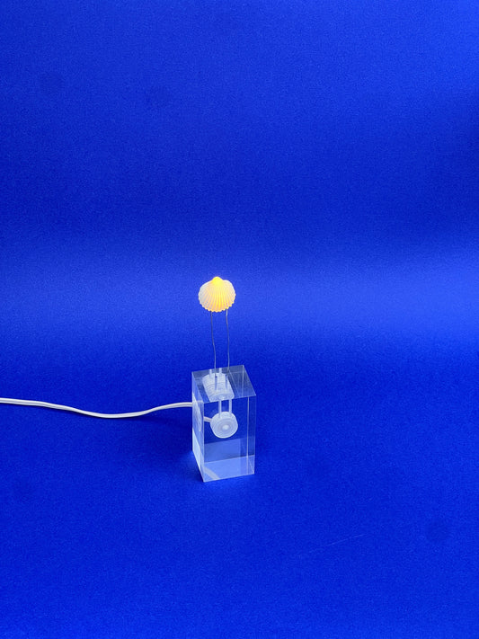 Bona Companyia Lamp